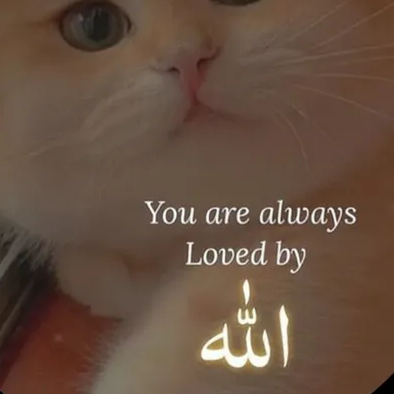 Zainab  Usman 